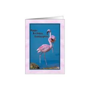  Goddaughters Birthday with Pink Flamingos Card Health 