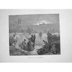   1870 Dore Bible Return Ark Beth Shemesh Noah Fine Art