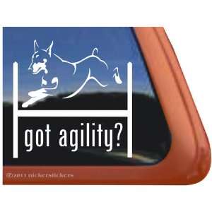  Agility Dog Agility Doberman Vinyl Window Decal Sticker 