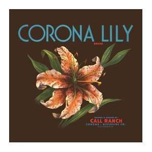  Corona Lily Metal Sign: Country Home Decor Wall Accent: Home & Kitchen