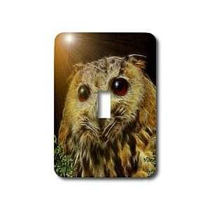 SmudgeArt Fractalius Art Designs   Hoot Hoot Owl   Light Switch Covers 