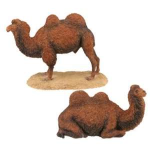 DBL HUMP CAMEL (SET OF 2), SS 6872:  Home & Kitchen