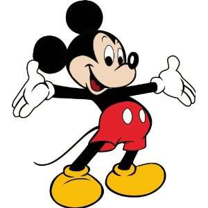  Mickey Mouse 8x10 Iron On T Shirt Transfer: Everything 