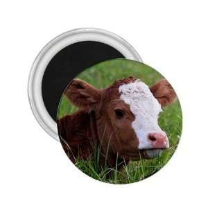 Cow Calf Refrigerator Magnet