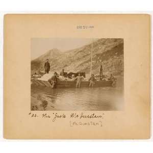  The Jack McQuestan,scow,Horse,dogs,c1897: Home & Kitchen