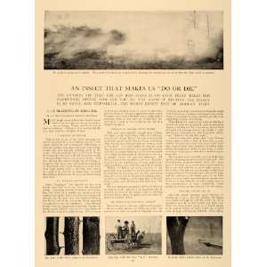  1906 Article San Jose Scale Insect Infestation J H Hale 