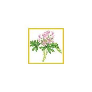  EO3 Clary Sage Essential Oil: Health & Personal Care