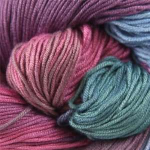  Araucania Ruca Multi [Pink, Blue, Purple   New] Arts 