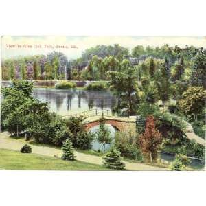   Postcard   View in Glen Oak Park   Peoria Illinois 