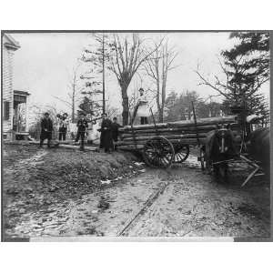   loading log,Horse drawn wagon,College Point,NY,1906: Home & Kitchen