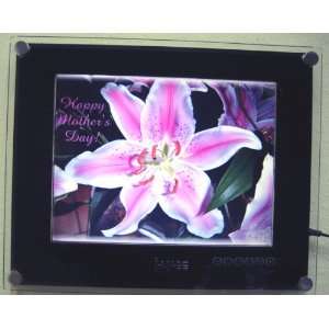  15 Inch Digital Photo Picture Frame  Mp4 NEW