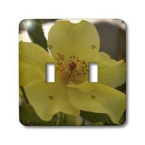     Floral Photography   Light Switch Covers   double toggle switch