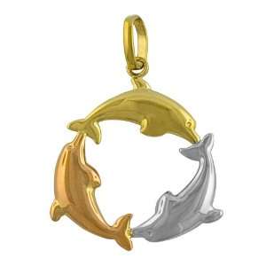  14k Tri color Gold Dolphin Pendant: Jewelry