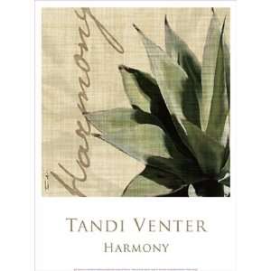  Harmony by Tandi Venter 12x16
