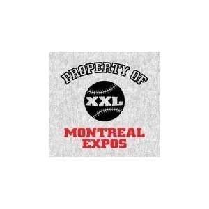   Montreal Expos Blanket/Throw   Team Sports Fan Shop Merchandise