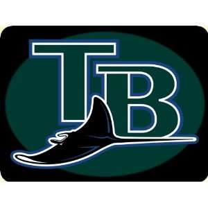 Tampa Bay Devil Rays Mouse Pad: Office Products