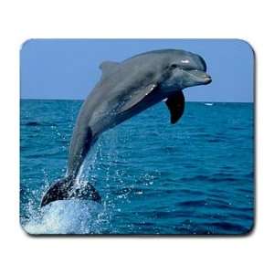   Mouse Pad Mat Computer Dolphins Sea Animal Ocean: Everything Else