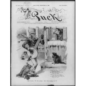  Miss Canada,Cartoon,Uncle Sam,Banjo,Puck,1888,singing 