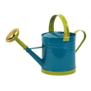   And Cheerful Blue And Green Water Pitcher Water Tight: Home & Kitchen