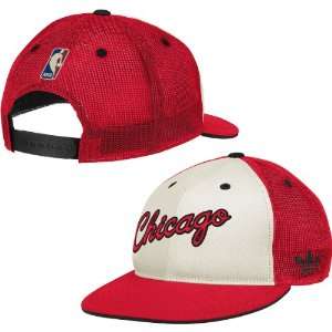   Adidas Chicago Bulls Mesh Back Snapback Hat