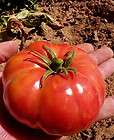 hillbilly tomato  