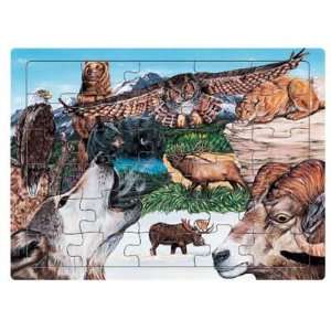  Wild Republic   National Parks Puzzle Toys & Games