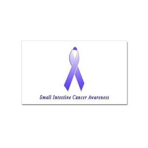  Small Intestine Cancer Awareness Rectangular Sticker 