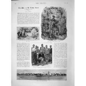    1892 War Guinea Coast Lagos King Ijebus Mamu Forest