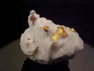 CLASSIC Native Gold Crystal 16 to 1 MINE, CALIFORNIA  