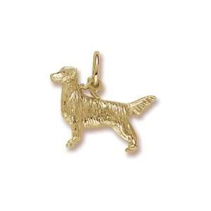  Rembrandt Charms Retriever Charm, 10K Yellow Gold Jewelry