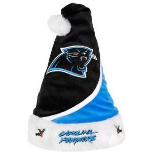   : Forever Collectibles Carolina Panthers Santa Hat: Sports & Outdoors