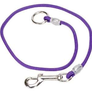   PetEdge Nylon Choker Style Grooming Loop, 36 Inch, Purple Pet