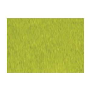  Shin Han Touch Twin Marker   Pastel Green Arts, Crafts 