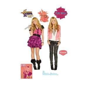  Hannah Montana Forever Wall Graphic: Sports & Outdoors