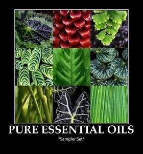Pure Essential Oils Sampler Set Therapeutic (Set of 6)  