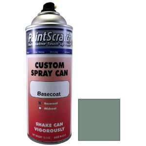  12.5 Oz. Spray Can of Palmetto Green Irid Touch Up Paint 