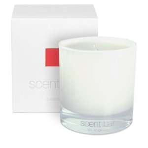  Scent Bar Rhubarb Grass Soy Blend Candle