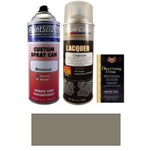  12.5 Oz. Graphite Grey Pearl Metallic Spray Can Paint Kit 