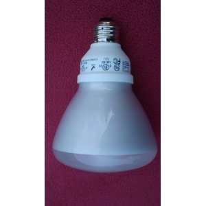  65 Watt Replacement Soft White R30 Reflectors   20 Bulb 