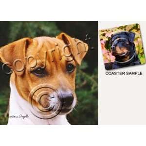  Jack Russell Terrier Dog Drink Coasters: Kitchen & Dining
