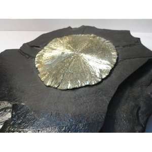  Pyrite Sun Mineral Beautiful Luster in Coal Matrix Very 