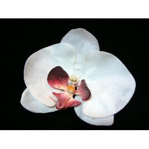   White Orchid with Fuchsia Center Hair Flower Clip and Pin Back Beauty