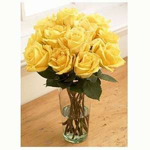  Organic Bouquet Roses, Yellow Sunshine, One Dozen, 1 ea 