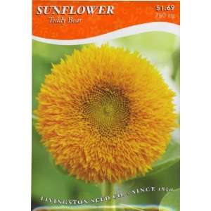  Sunflower   Teddy Bear (A) Patio, Lawn & Garden