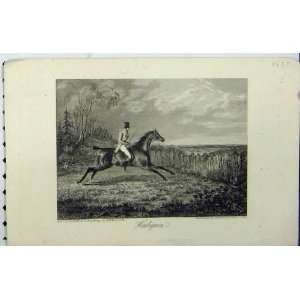  1827 Man Horse Jumping Fence Harlequin Sherwood Print 
