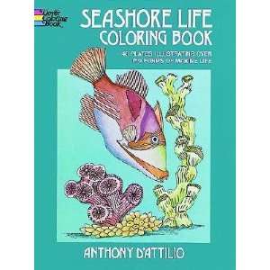   : Seashore Life Coloring Book [COLOR BK SEASHORE LIFE COL  OS]: Books