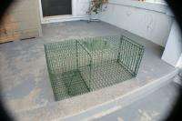 Live cage trap trapper favorite 4 raccoon/ferrel cat/armadillo 