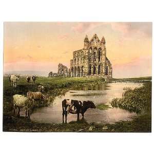 Whitby,the abbey,III.,Yorkshire,England,1890s 
