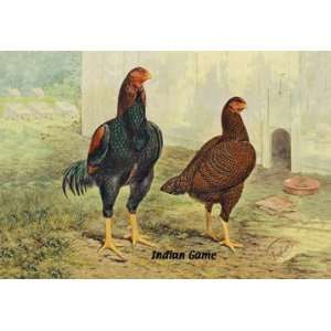  Indian Game (Chickens) 24x36 Giclee: Home & Kitchen