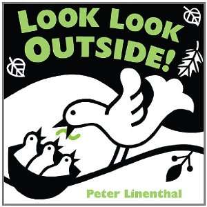  Look Look Outside (9780803737297) Peter Linenthal Books